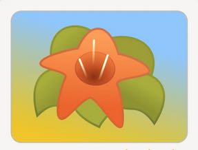 gThumb-icon